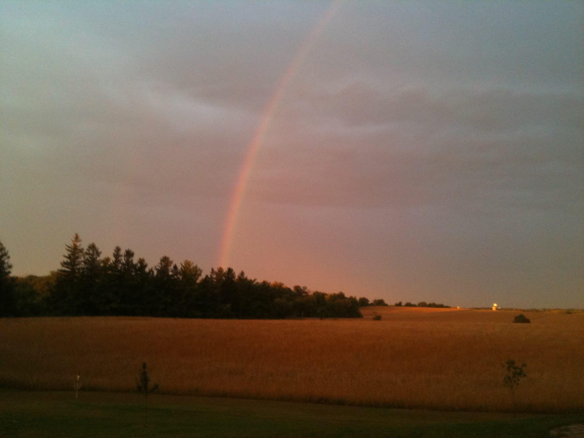6302 20th Avenue Southeast Rochester, MN 55904 - Photo 117 of 126