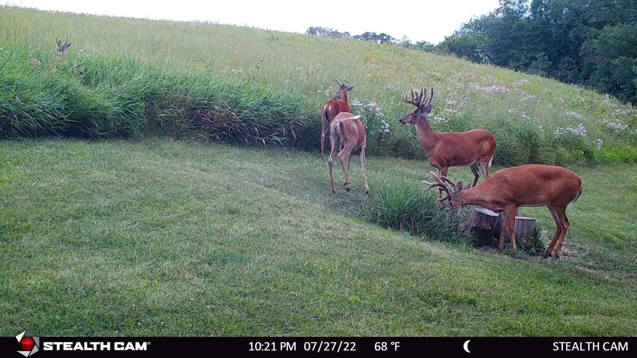 6302 20th Avenue Southeast Rochester, MN 55904 - Photo 119 of 126