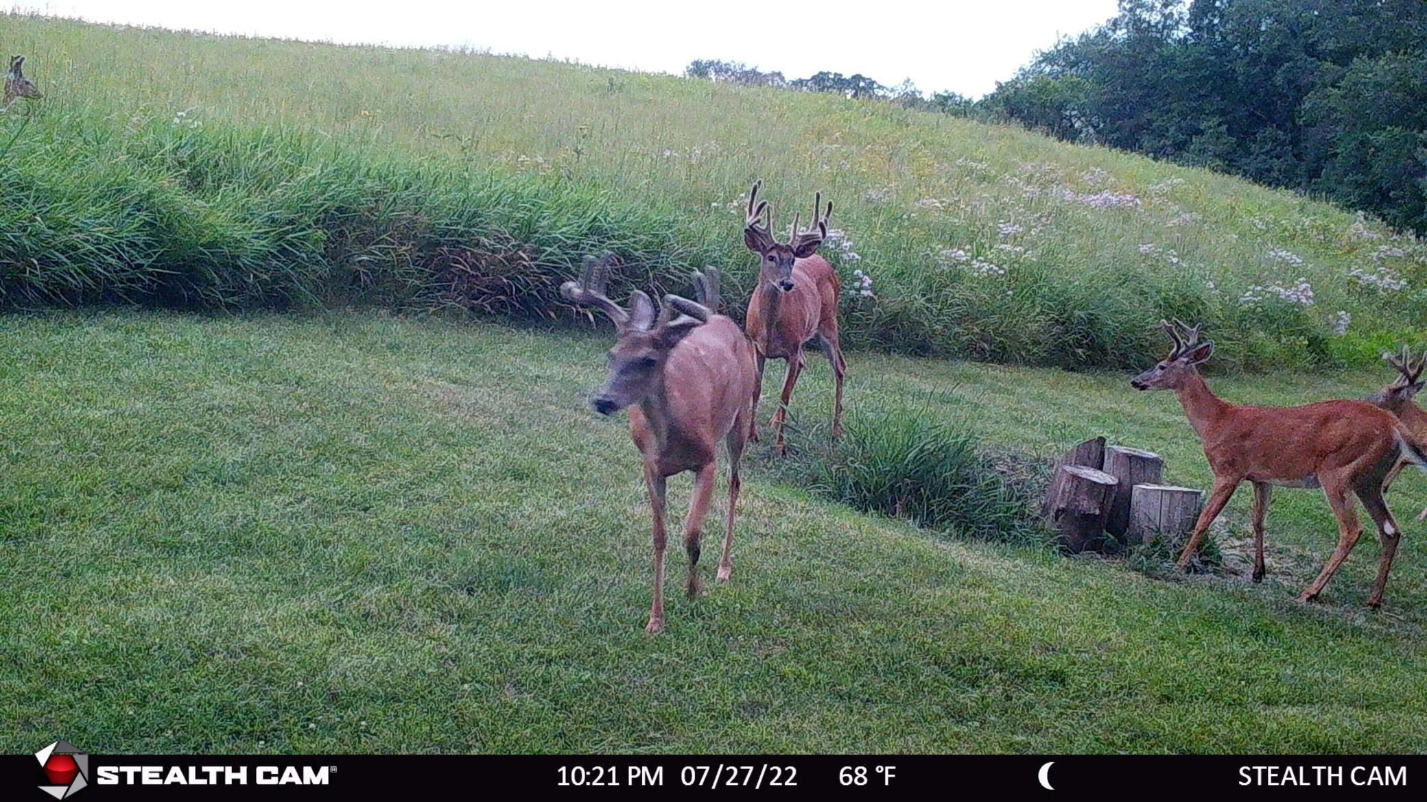 6302 20th Avenue Southeast Rochester, MN 55904 - Photo 120 of 126
