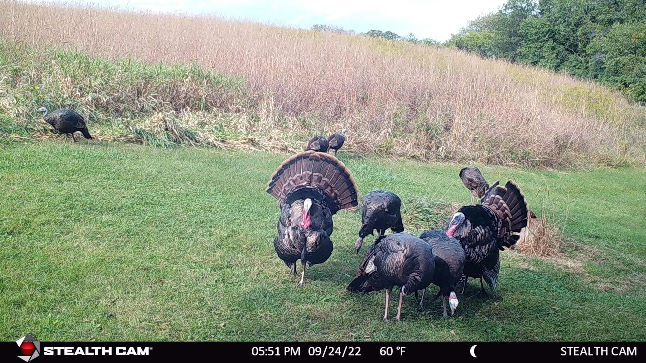 6302 20th Avenue Southeast Rochester, MN 55904 - Photo 121 of 126