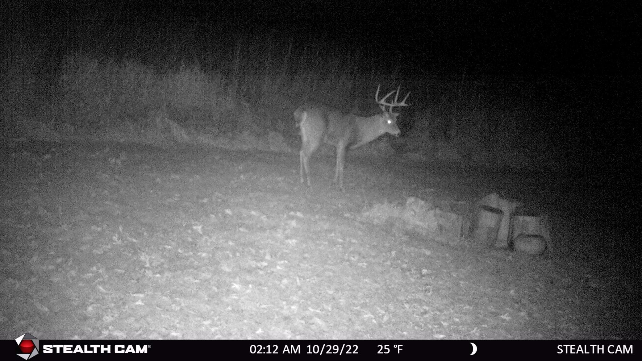 6302 20th Avenue Southeast Rochester, MN 55904 - Photo 123 of 126