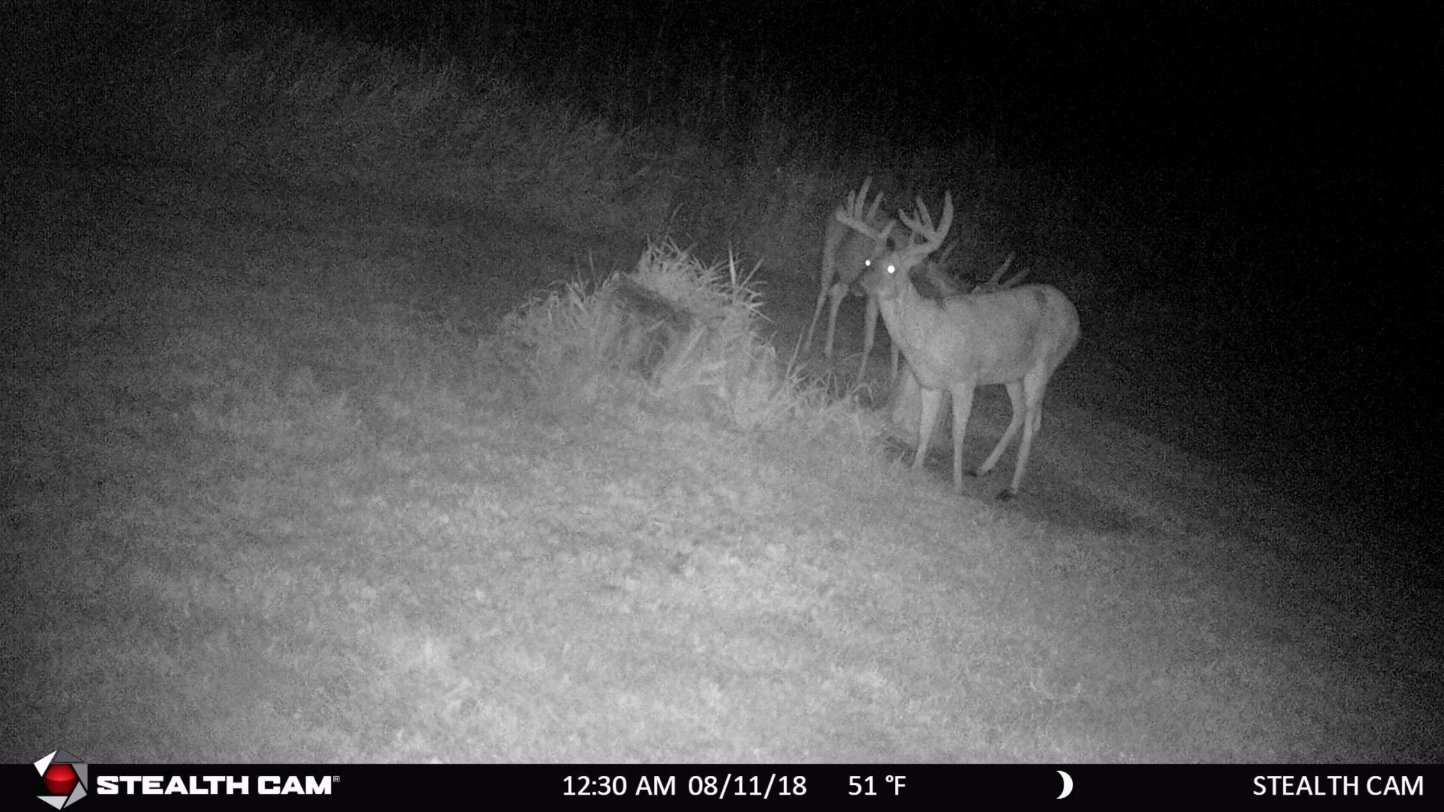 6302 20th Avenue Southeast Rochester, MN 55904 - Photo 124 of 126