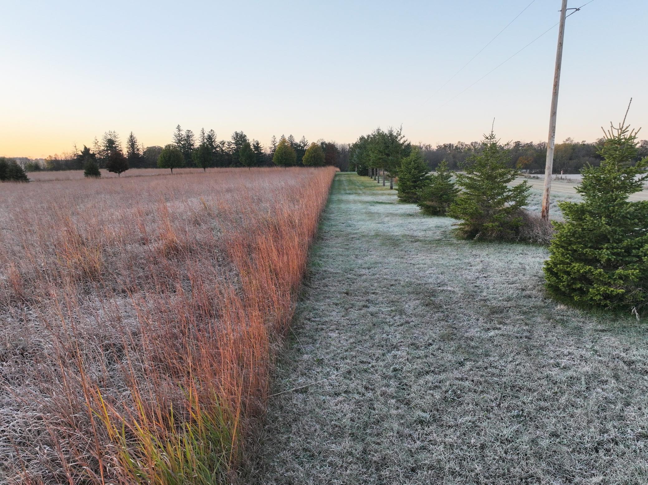 6302 20th Avenue Southeast Rochester, MN 55904 - Photo 63 of 126