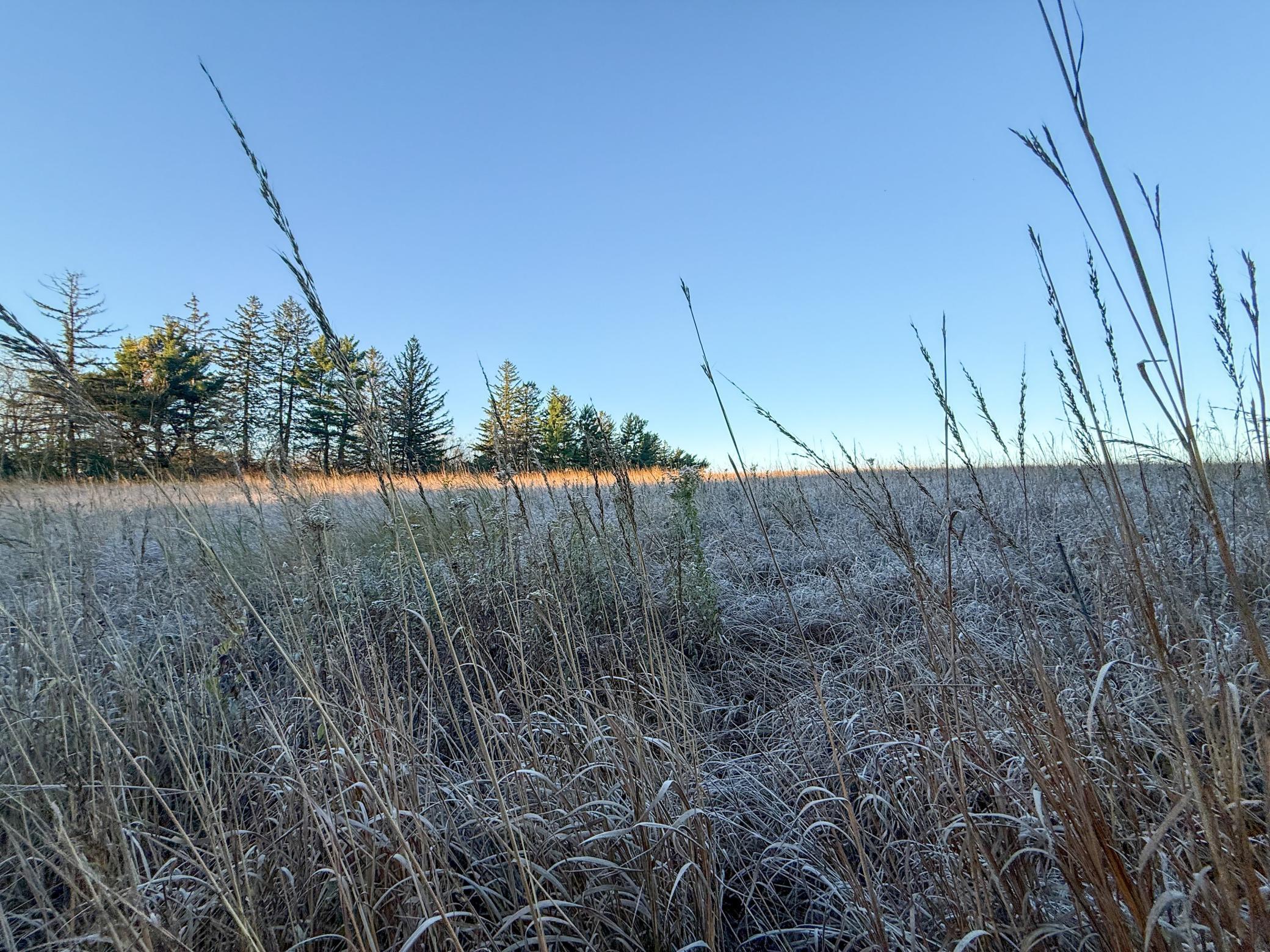 6302 20th Avenue Southeast Rochester, MN 55904 - Photo 85 of 126