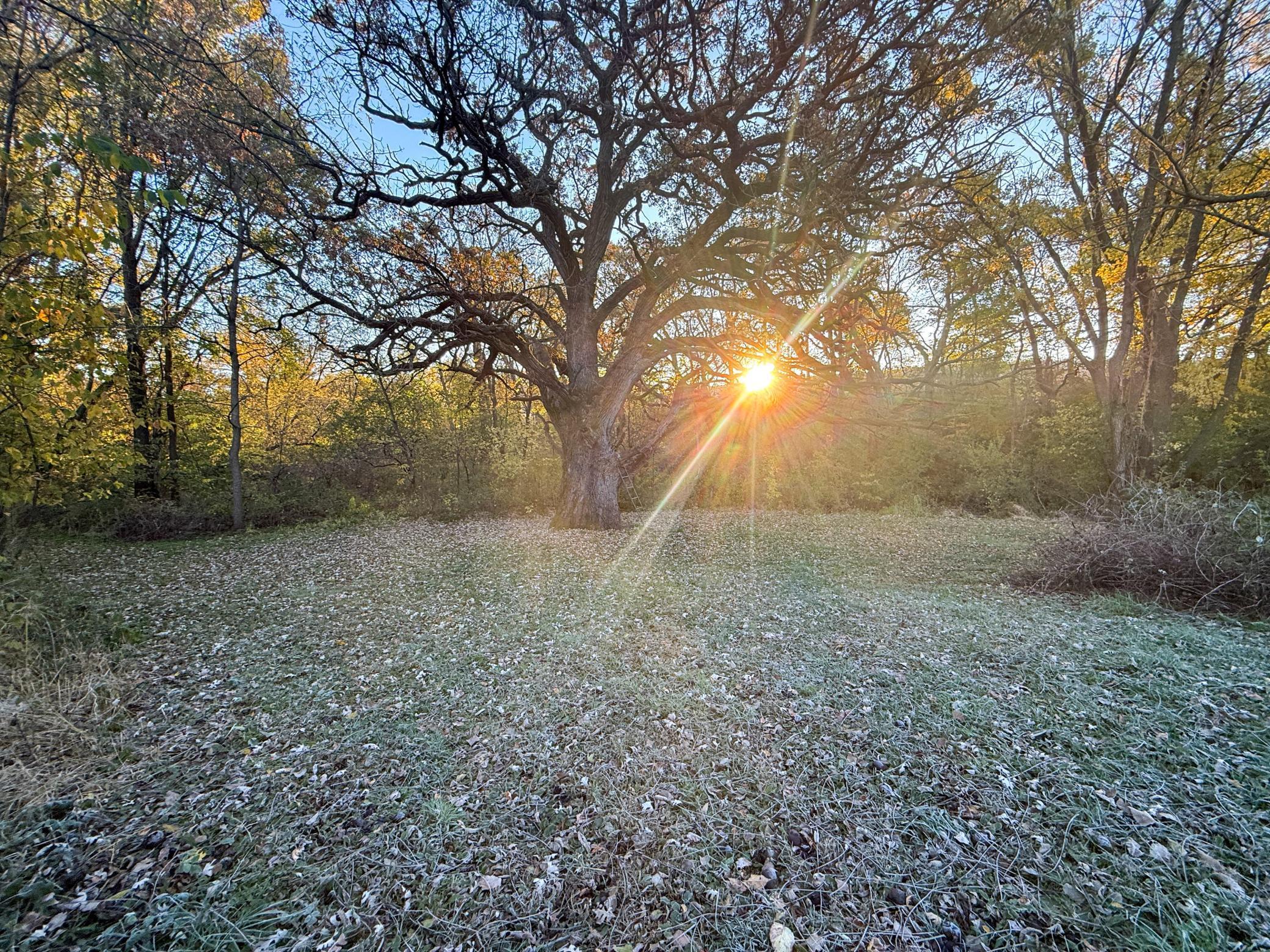 6302 20th Avenue Southeast Rochester, MN 55904 - Photo 87 of 126