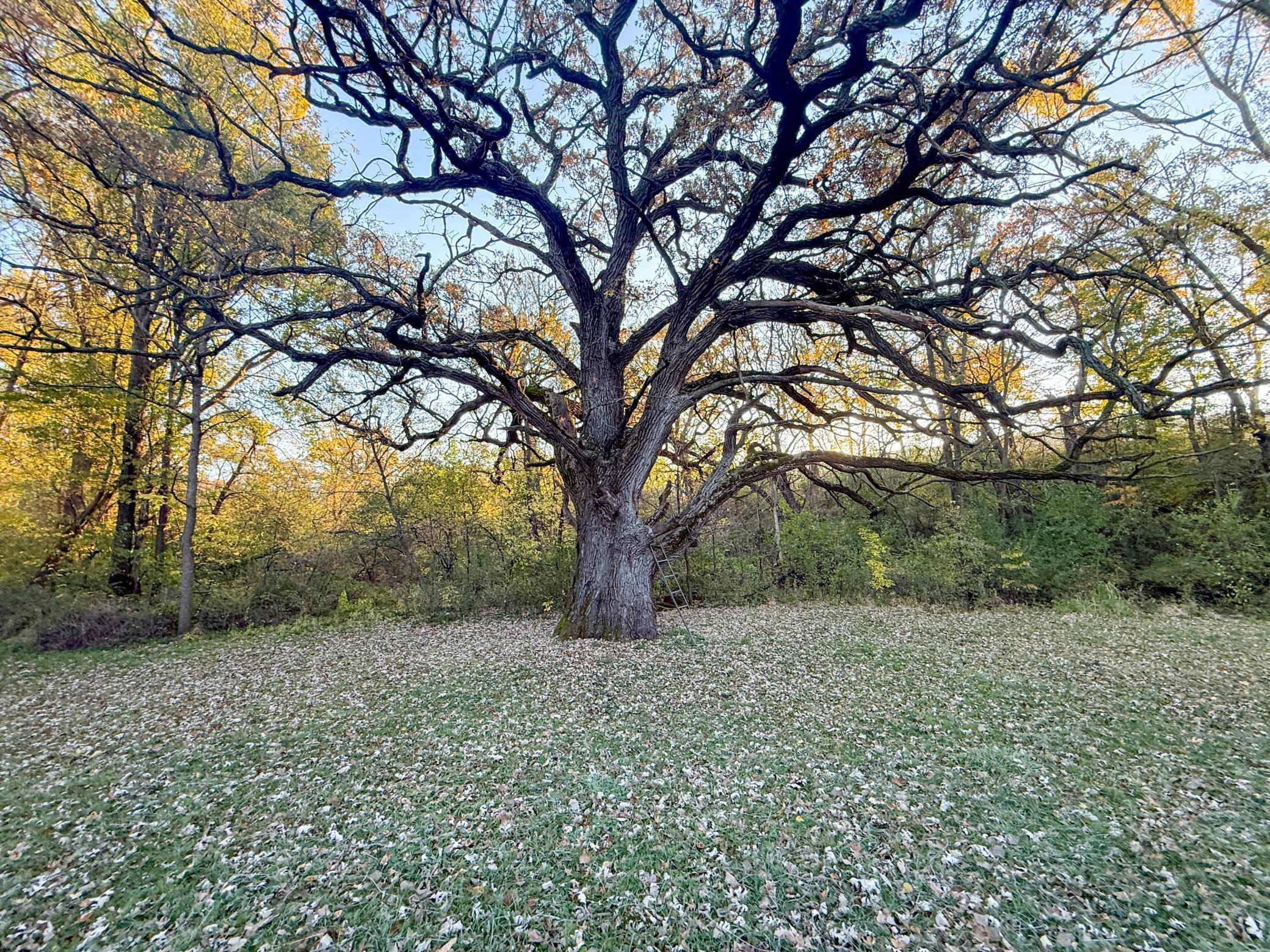 6302 20th Avenue Southeast Rochester, MN 55904 - Photo 88 of 126