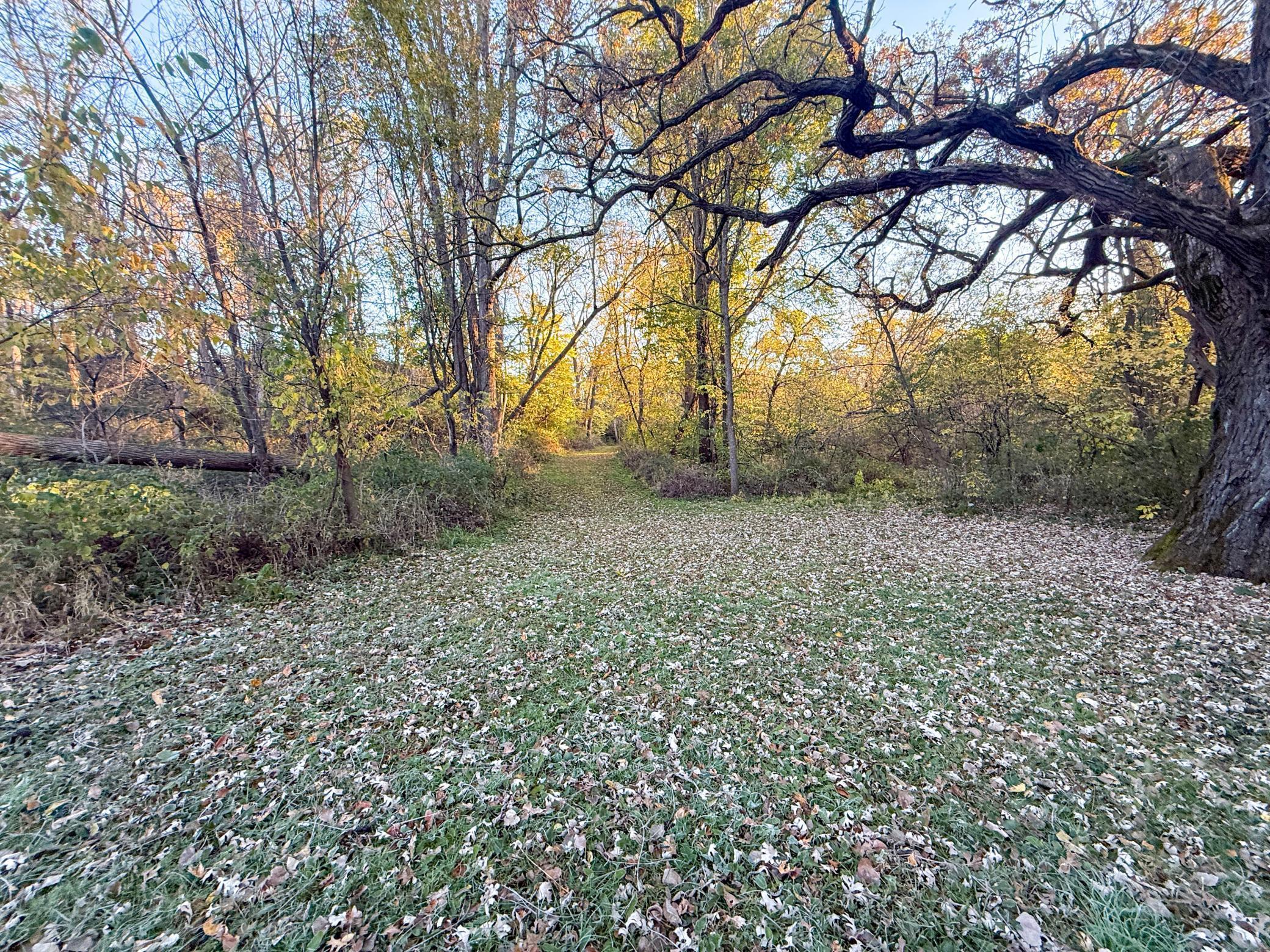 6302 20th Avenue Southeast Rochester, MN 55904 - Photo 89 of 126