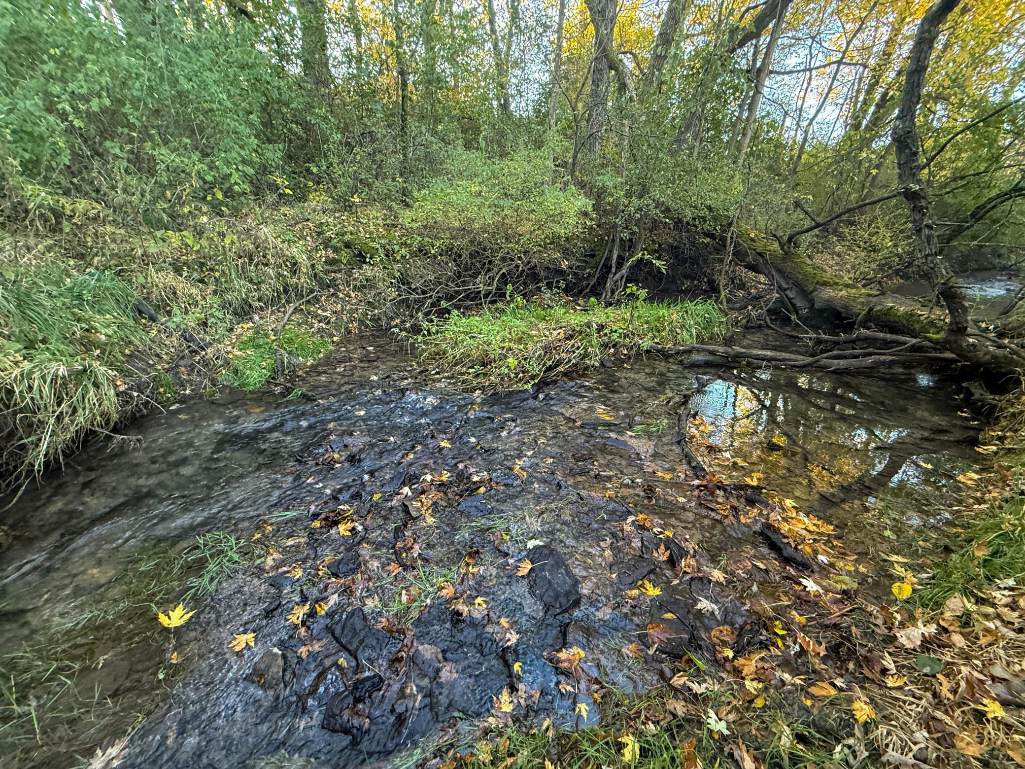 6302 20th Avenue Southeast Rochester, MN 55904 - Photo 91 of 126