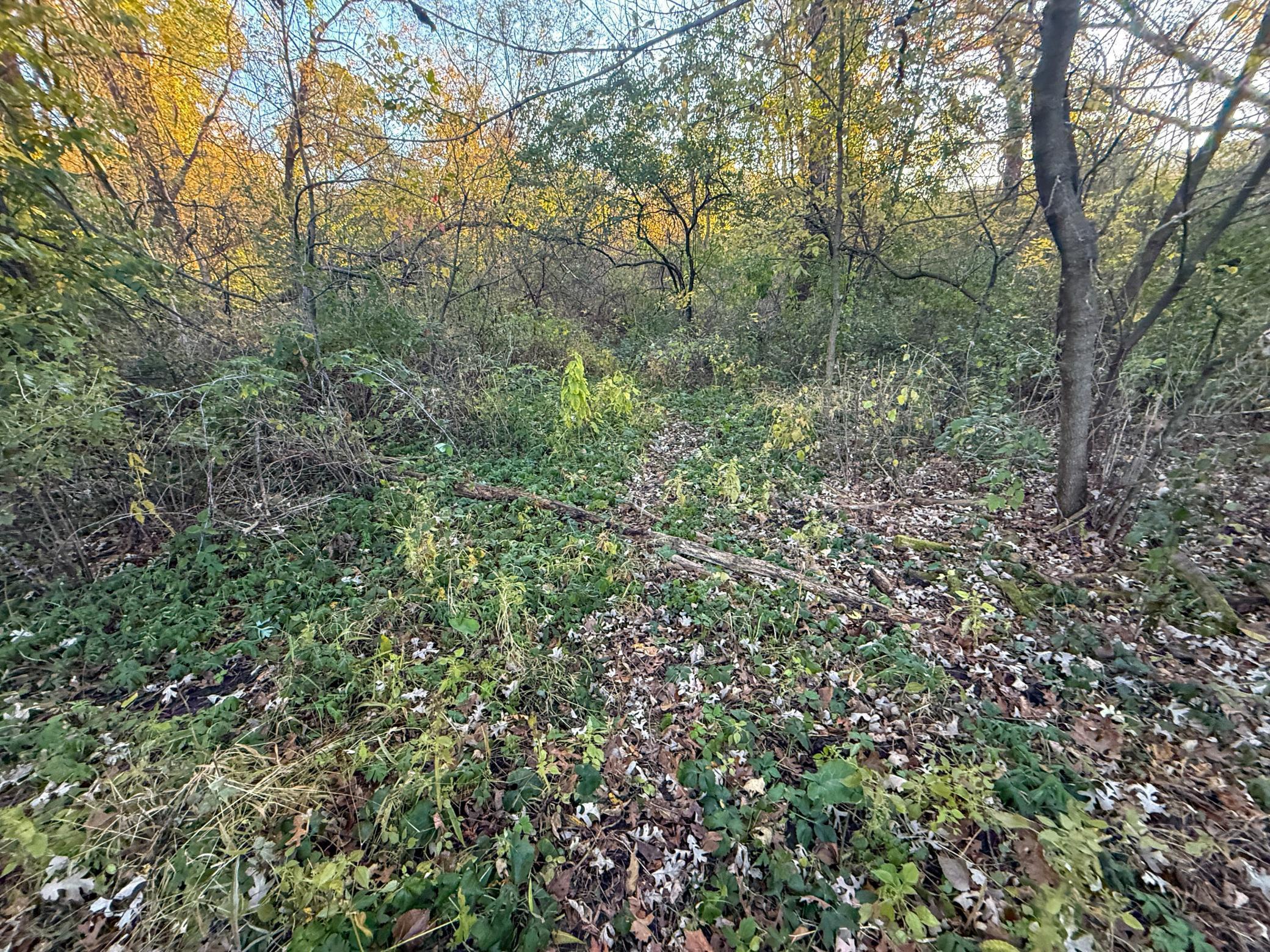 6302 20th Avenue Southeast Rochester, MN 55904 - Photo 92 of 126