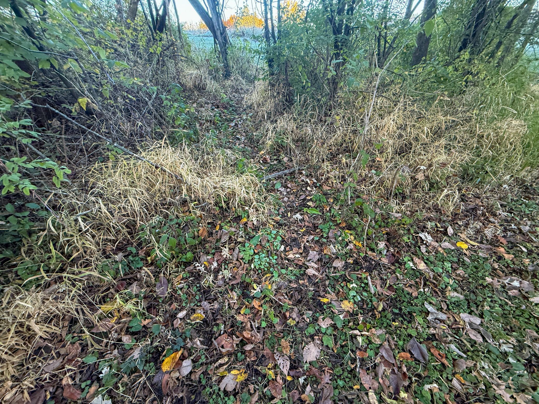 6302 20th Avenue Southeast Rochester, MN 55904 - Photo 98 of 126