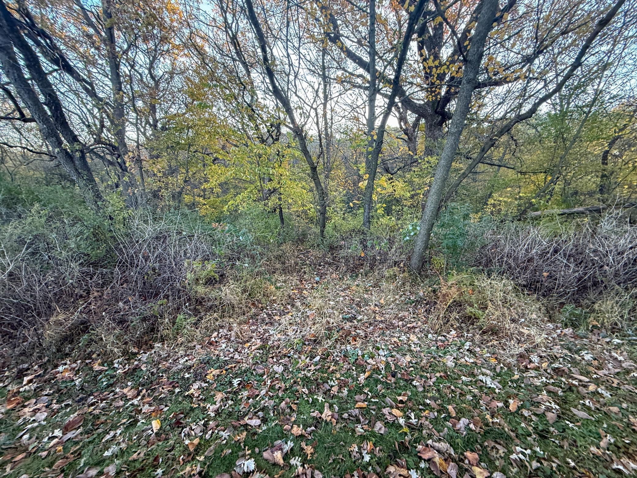 6302 20th Avenue Southeast Rochester, MN 55904 - Photo 99 of 126