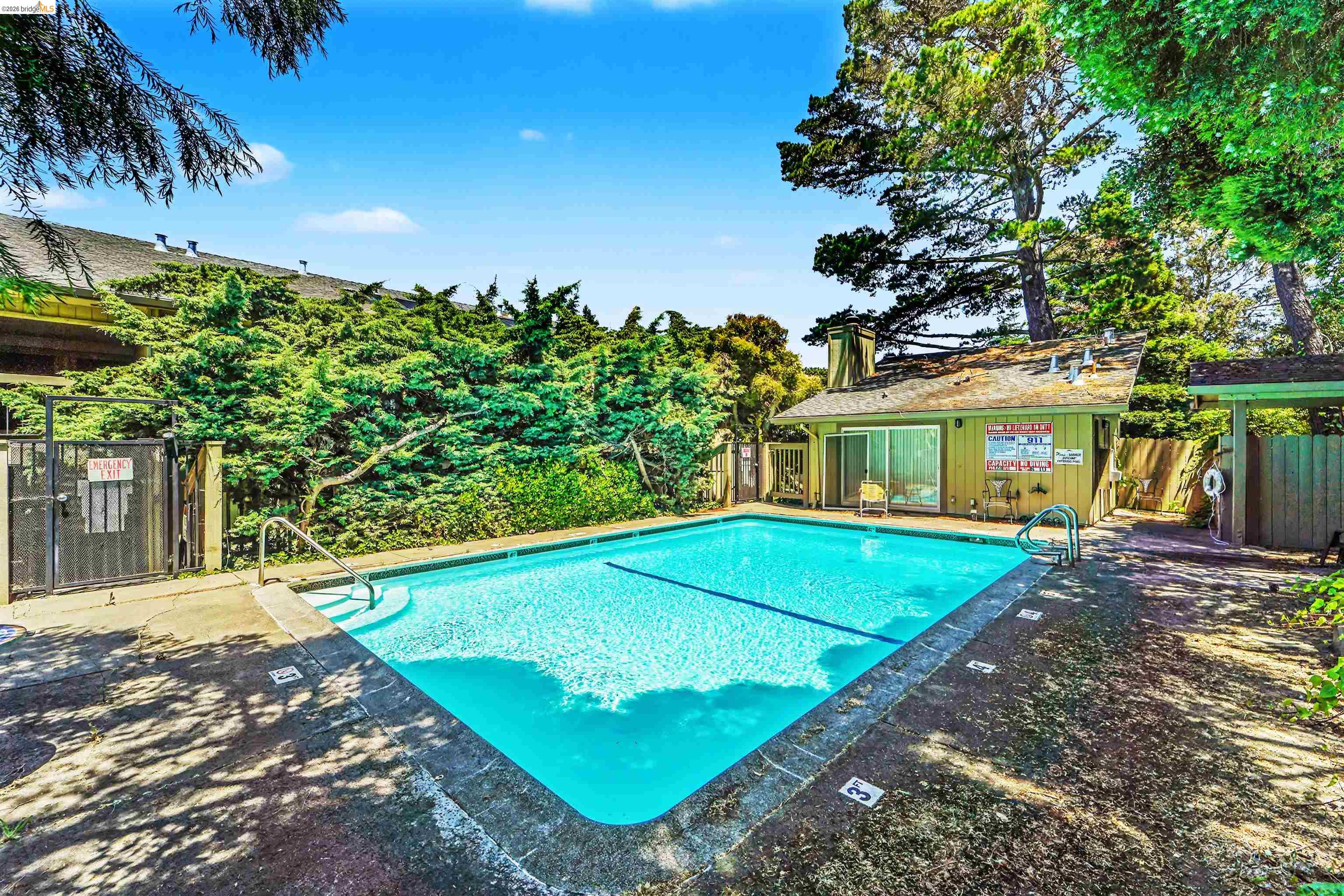 4186 San Pablo Dam Road, Unit A El Sobrante, CA 94803 - Photo 32 of 34 Outdoor swimming pool with concrete decking, surrounding mature trees, and a dedicated pool house featuring a sliding glass door