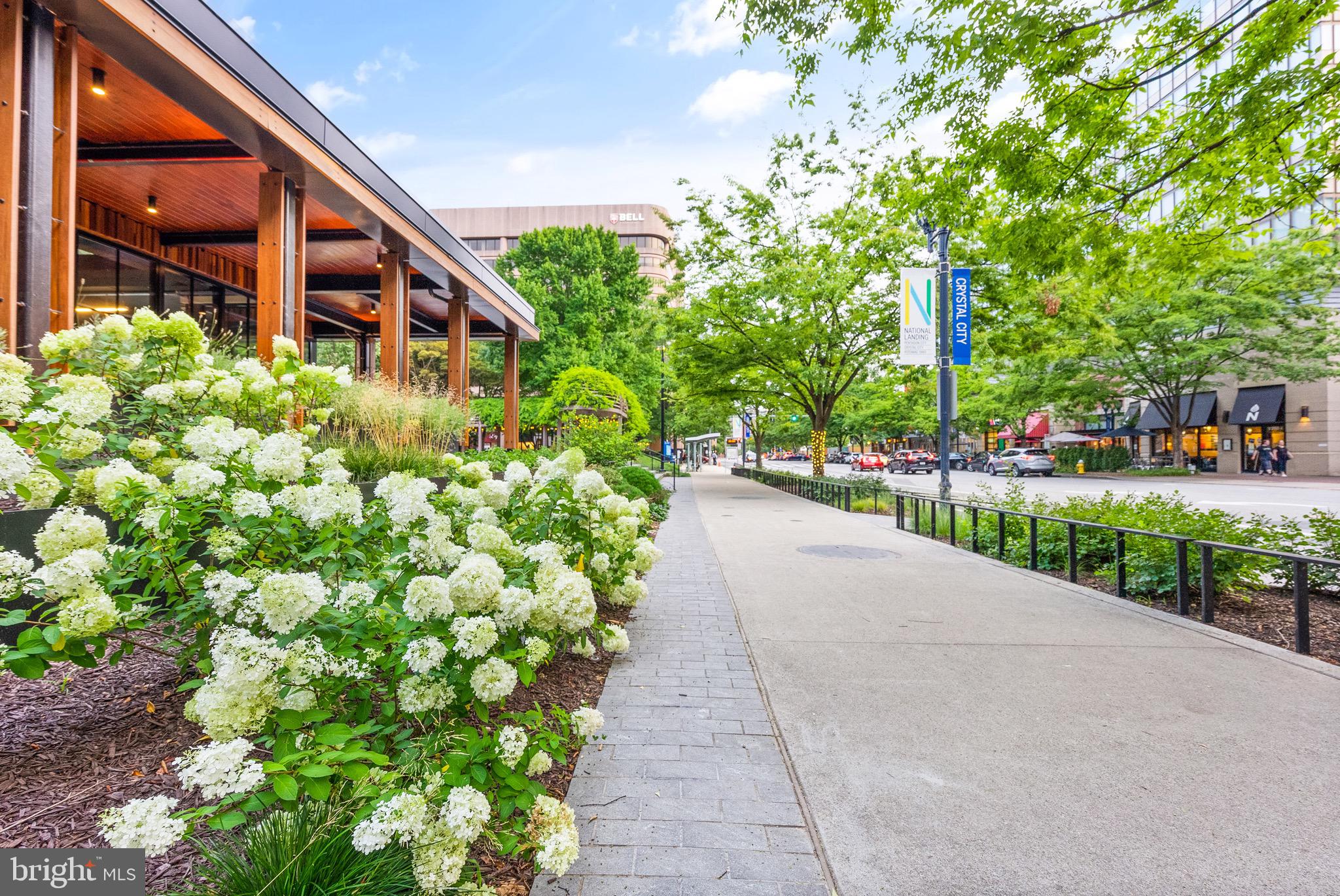 3600 South Glebe Road, Unit 819W Arlington, VA 22202 - Photo 40 of 42 Neighborhood