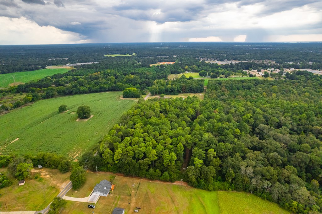 0 East Wayne Road Dothan, AL 36301 - Photo 8 of 18