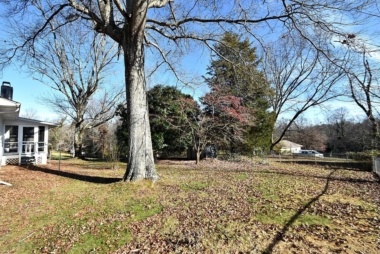 100 Orange Lane Oak Ridge, TN 37830 - Photo 16 of 19 a view of a yard with a tree