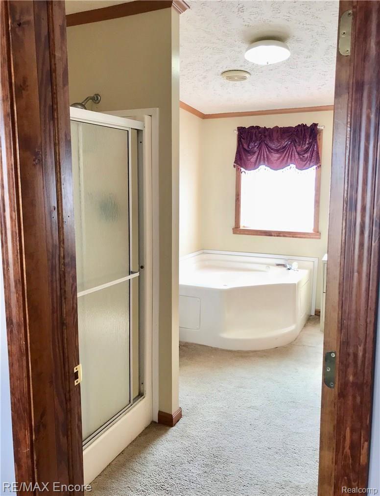 14218 Stuart Road Chesaning, MI 48616 - Photo 38 of 44 4 PIECE MASTER BATH. JACUZZI TUB.