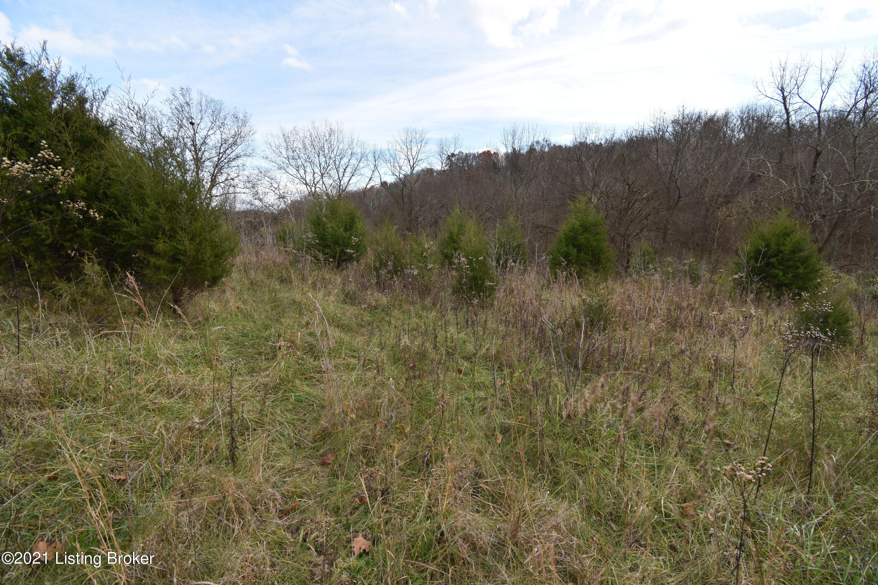 0 Prather Ridge Road Willisburg, KY 40078 - Photo 6 of 20 05
