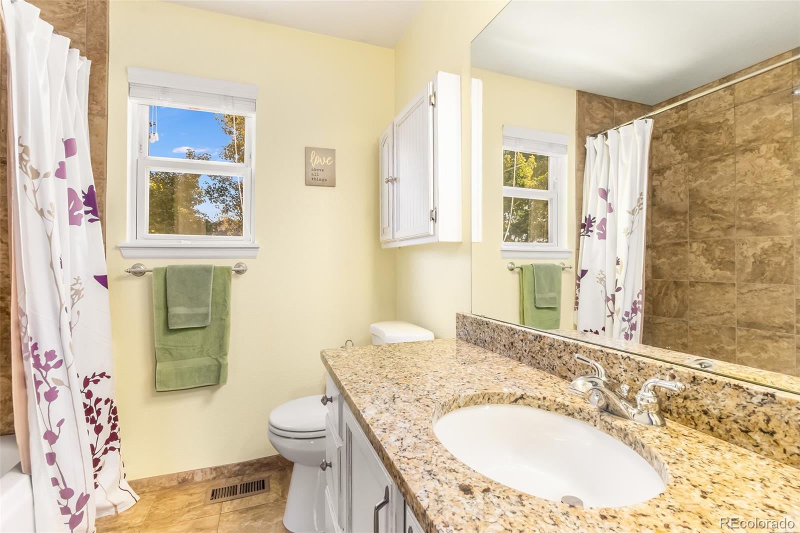 10315 Spring Water Peak Highlands Ranch, CO 80129 - Photo 16 of 24 Gallery Image 16