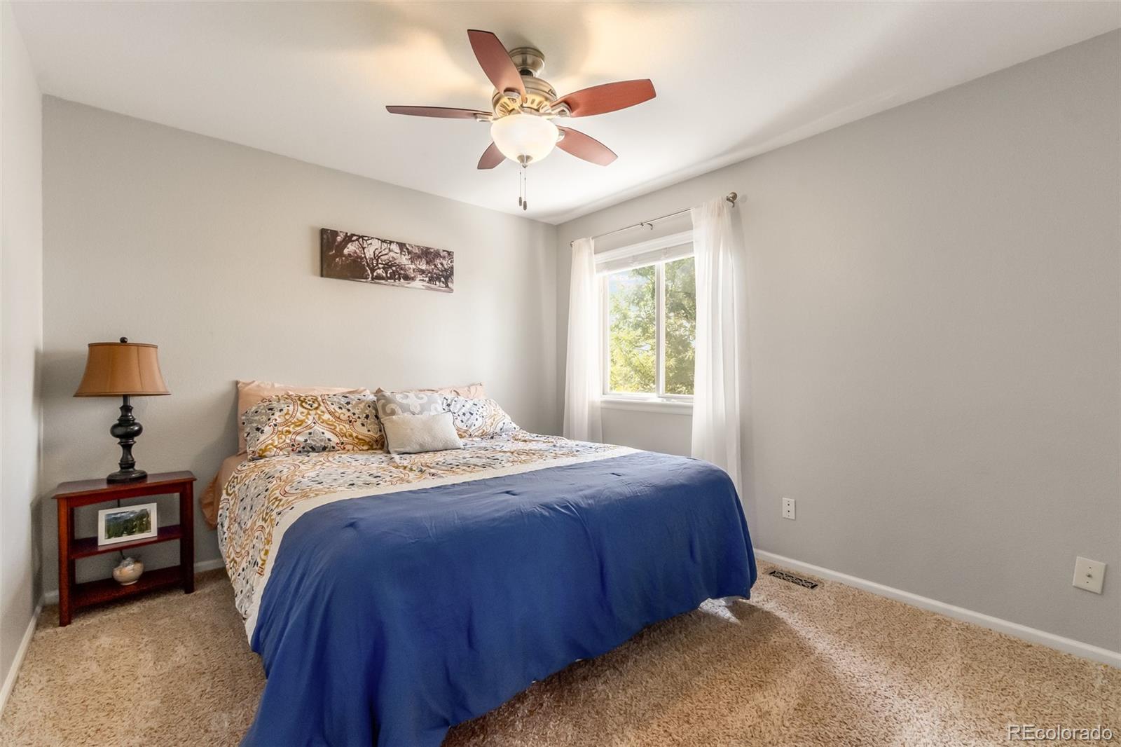 10315 Spring Water Peak Highlands Ranch, CO 80129 - Photo 17 of 24 Gallery Image 17