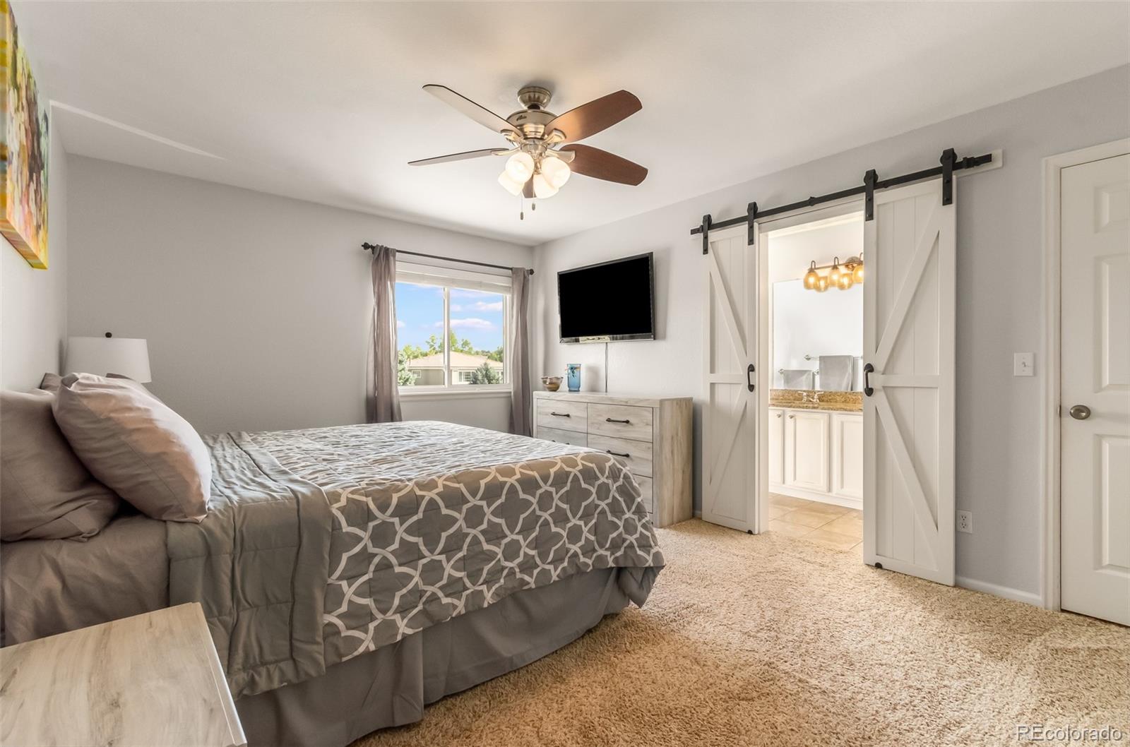 10315 Spring Water Peak Highlands Ranch, CO 80129 - Photo 18 of 24 Gallery Image 18