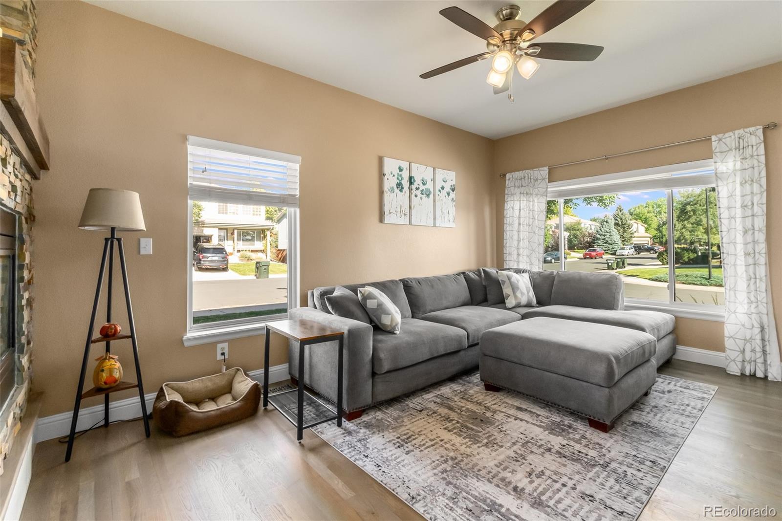 10315 Spring Water Peak Highlands Ranch, CO 80129 - Photo 5 of 24 Gallery Image 5