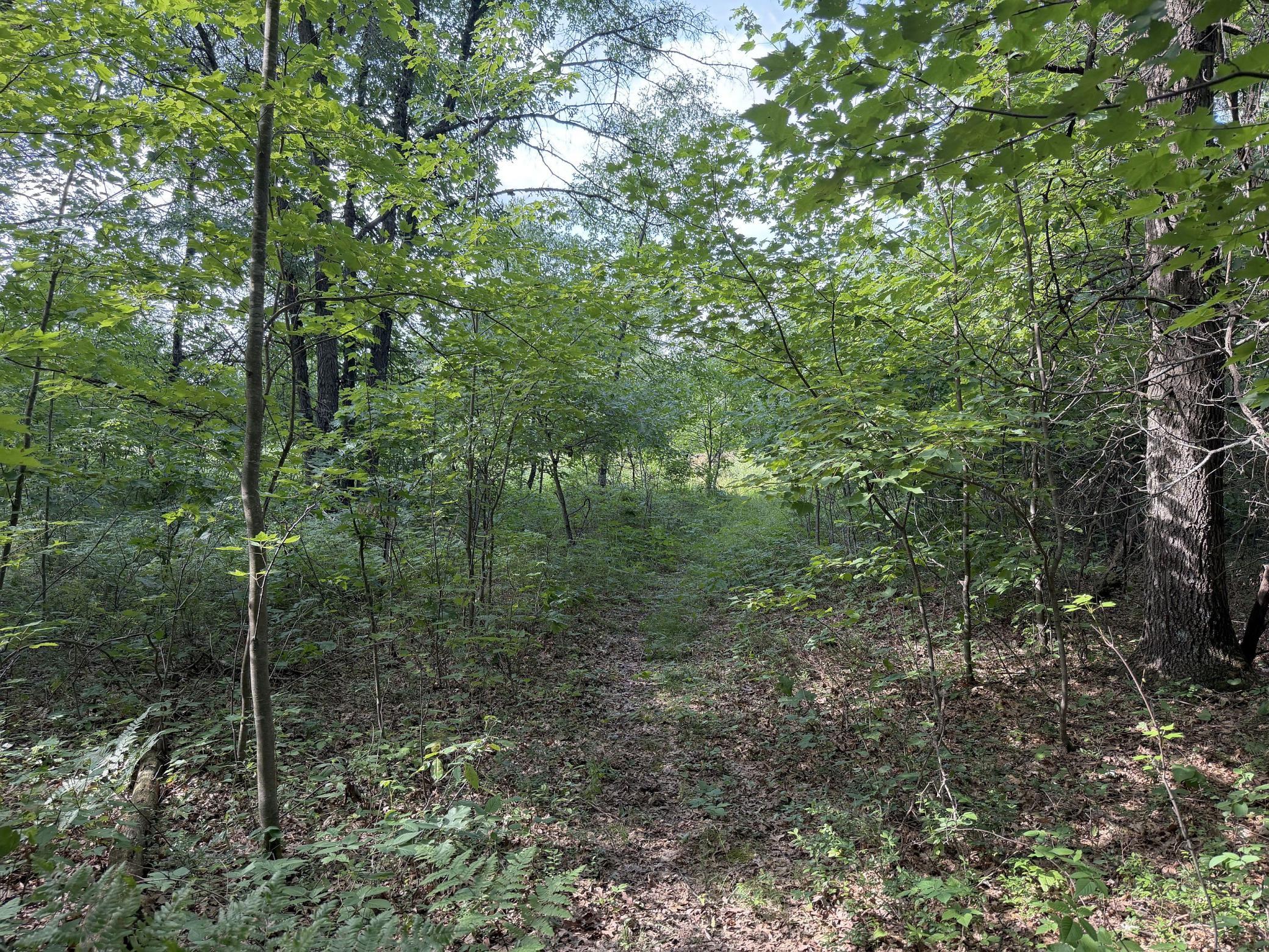 S13160 Camp Road Fairchild, WI 54741 - Photo 8 of 32 Gallery Image 8