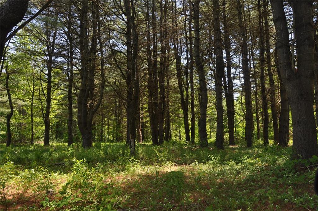 240 Moody Road Monroe, ME 04951 - Photo 11 of 16 Photo