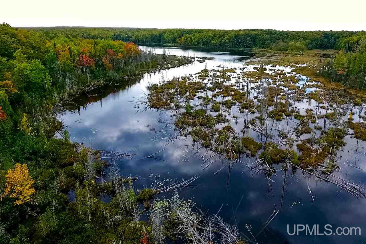 Tbd North Rumely Road Eben Junction, MI 49826 - Photo 6 of 22