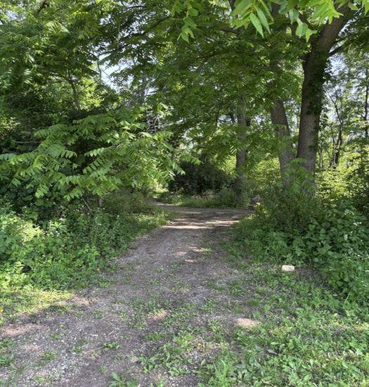 N64W21021 Mill Road Menomonee Falls, WI 53051 - Photo 38 of 40 Walking Trail