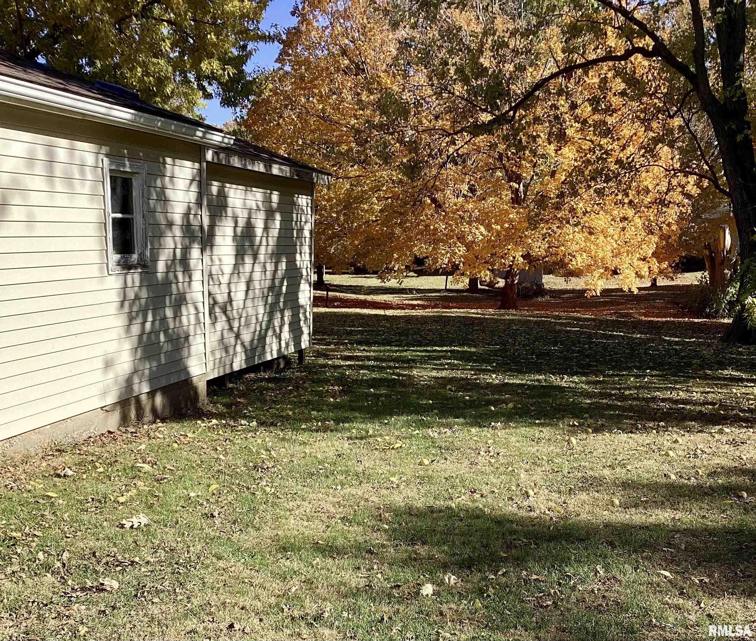 339 North Cone Street Farmington, IL 61531 - Photo 13 of 39