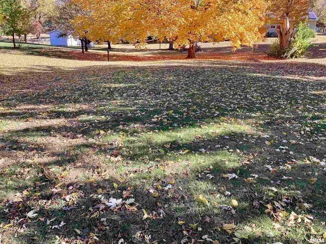 $85,000 | 339 North Cone Street, Farmington, IL 61531