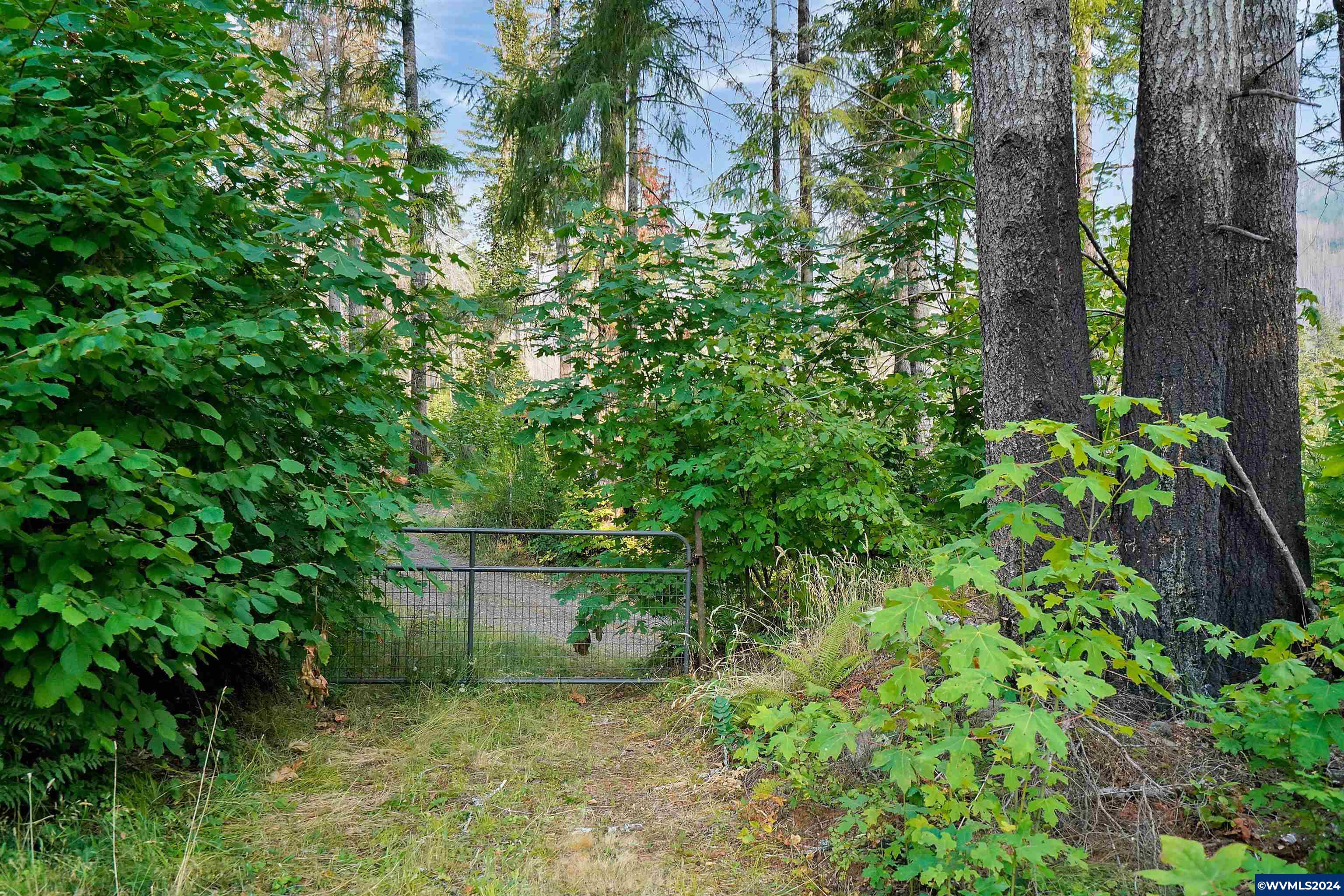 32375 North Fork Road Lyons, OR 97358 - Photo 32 of 46 Gallery Image 32