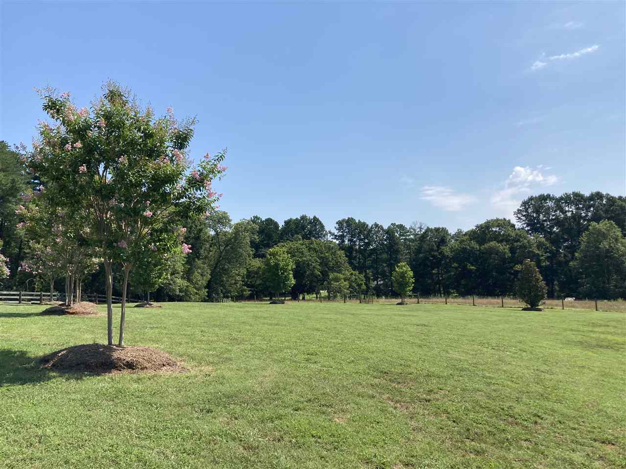 314 Marlowe Road Boiling Springs, SC 29316 - Photo 6 of 29 Gallery Image 6