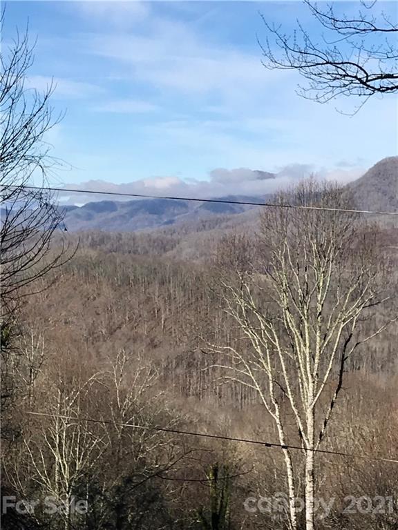 1762 Cabin Flats Road Sylva, NC 28779 - Photo 28 of 34 Gallery Image 28