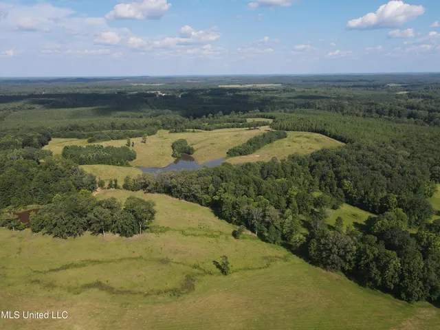 $552,500 | 233 County Road, Water Valley, MS 38965