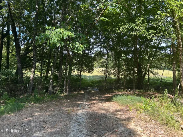 $552,500 | 233 County Road, Water Valley, MS 38965