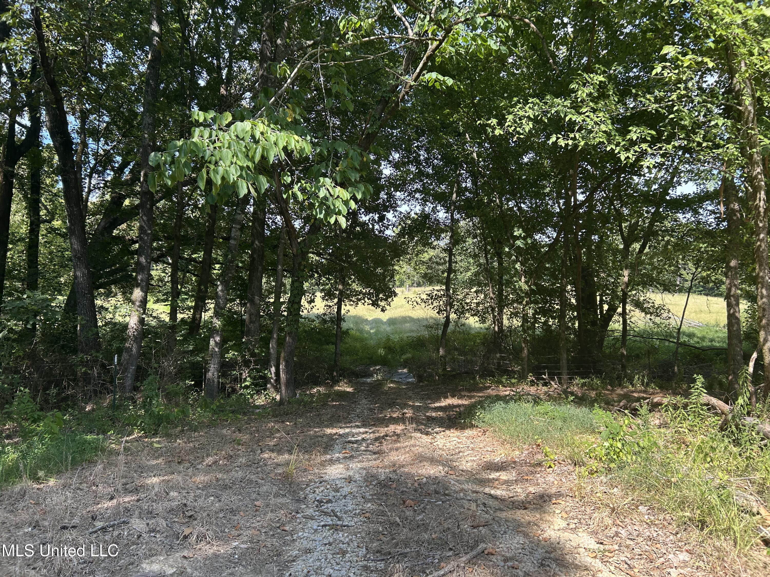 233 County Road Water Valley, MS 38965 - Photo 15 of 77 Photo Jul 28 2025, 4 17 59 PM