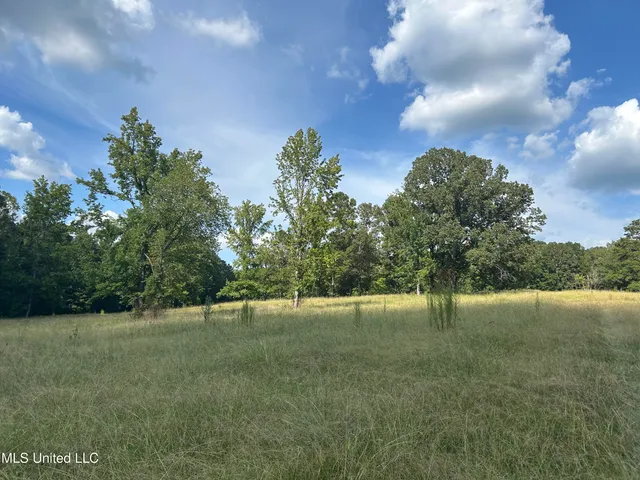 $552,500 | 233 County Road, Water Valley, MS 38965