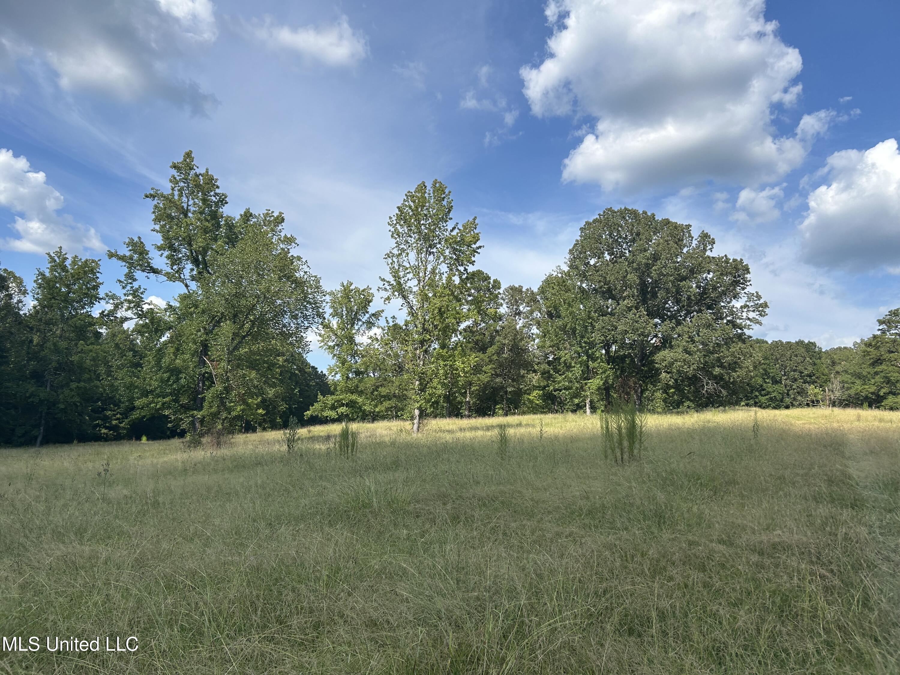233 County Road Water Valley, MS 38965 - Photo 16 of 77 Photo Jul 28 2025, 4 18 42 PM