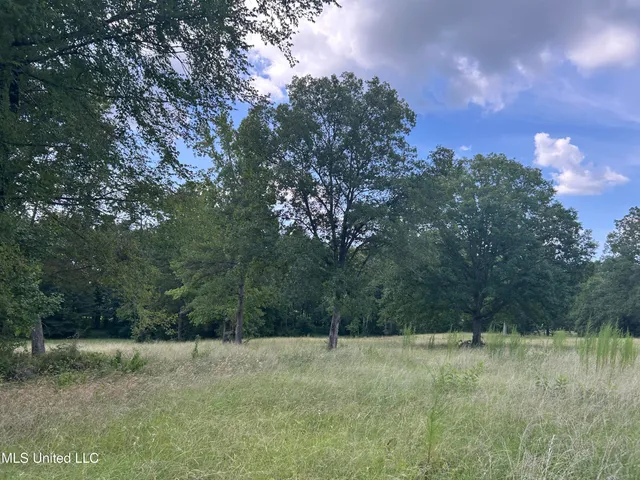 $552,500 | 233 County Road, Water Valley, MS 38965