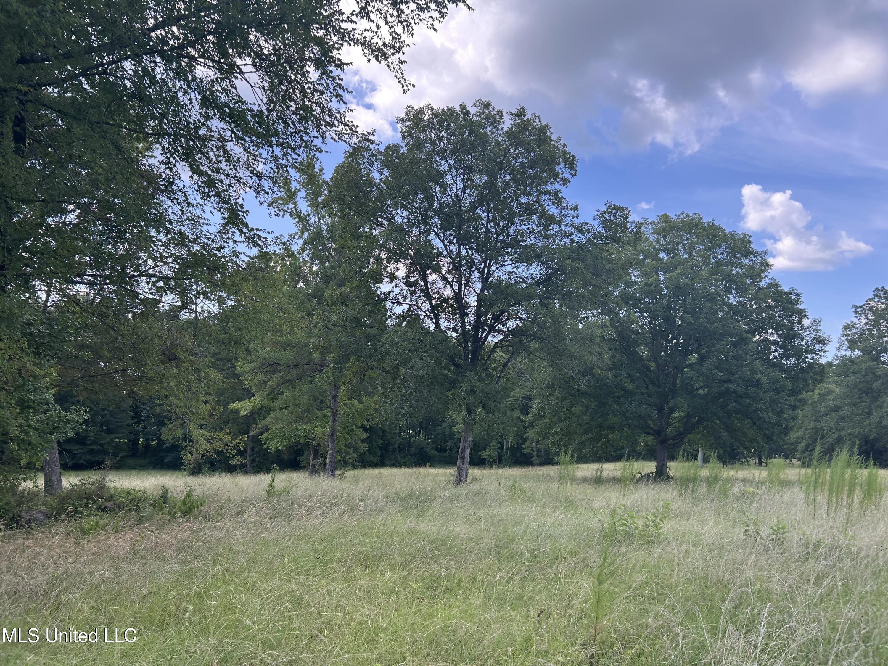 233 County Road Water Valley, MS 38965 - Photo 17 of 77 Photo Jul 28 2025, 4 19 21 PM
