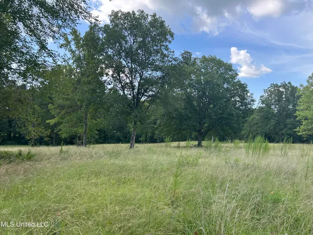 $552,500 | 233 County Road, Water Valley, MS 38965