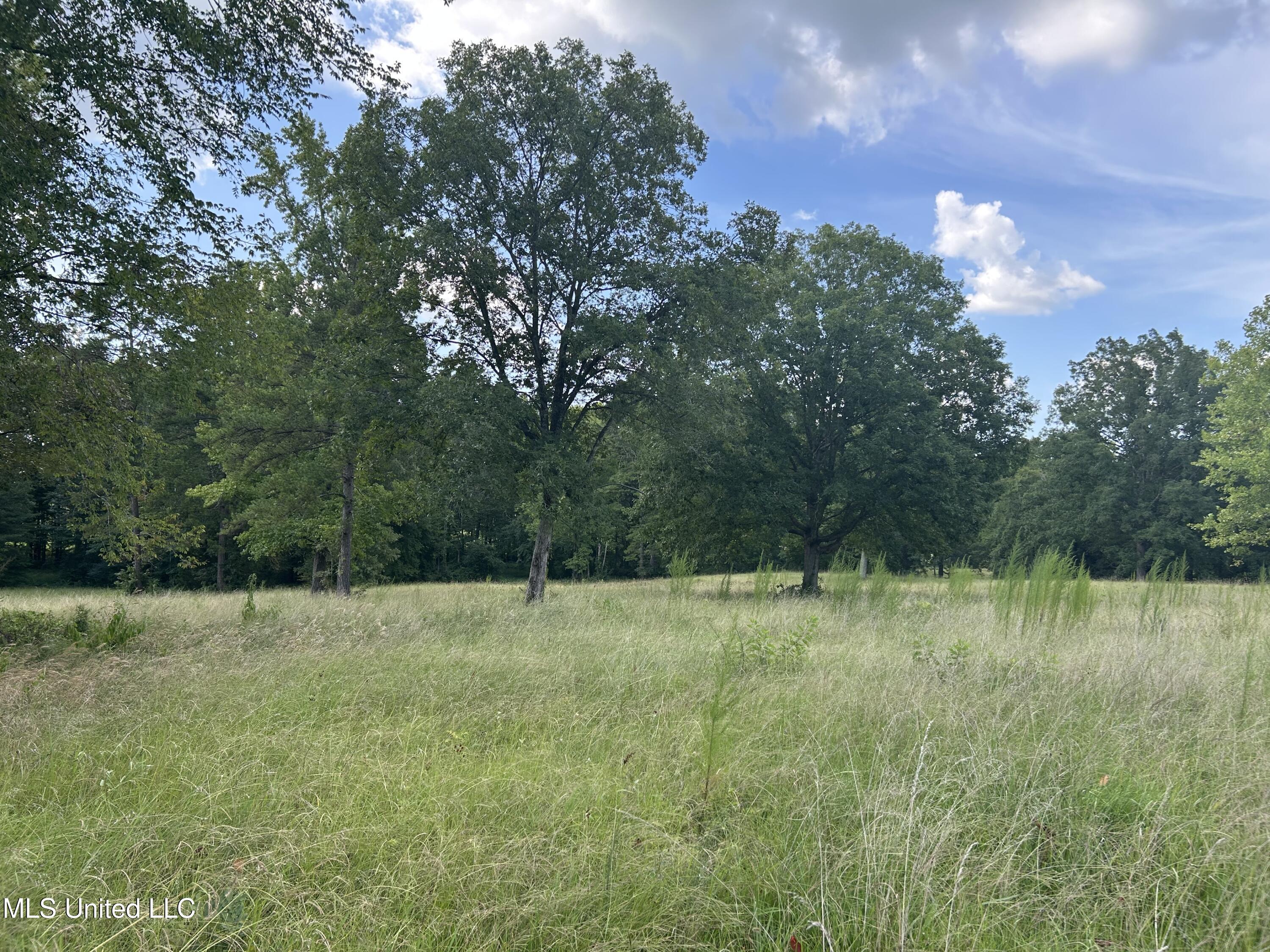 233 County Road Water Valley, MS 38965 - Photo 18 of 77 Photo Jul 28 2025, 4 19 27 PM