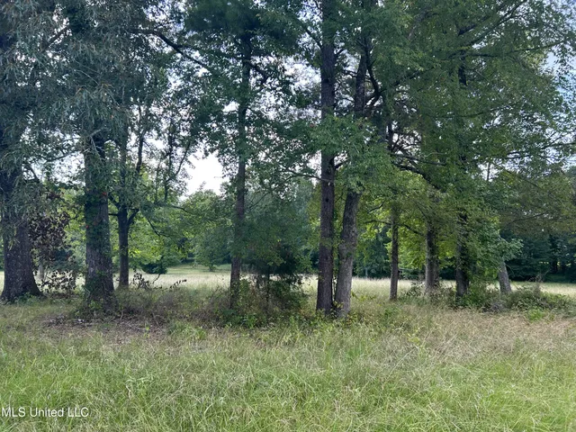 $552,500 | 233 County Road, Water Valley, MS 38965