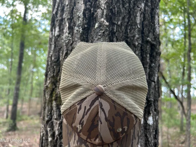 $552,500 | 233 County Road, Water Valley, MS 38965