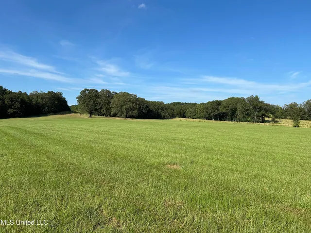 $552,500 | 233 County Road, Water Valley, MS 38965