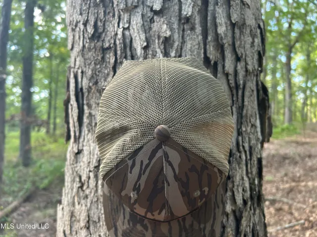 $552,500 | 233 County Road, Water Valley, MS 38965