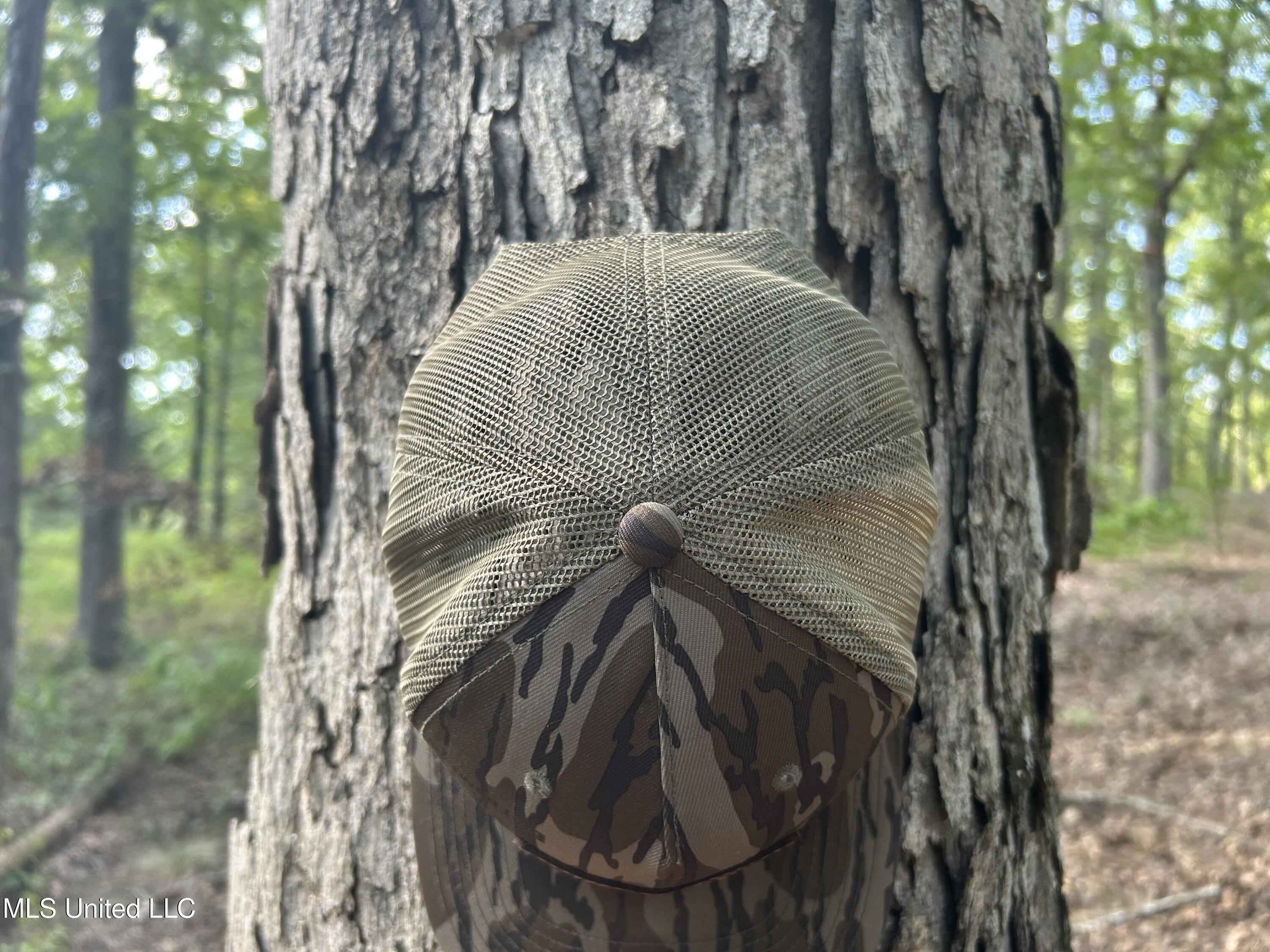 233 County Road Water Valley, MS 38965 - Photo 21 of 77 Photo Jul 28 2025, 4 21 30 PM