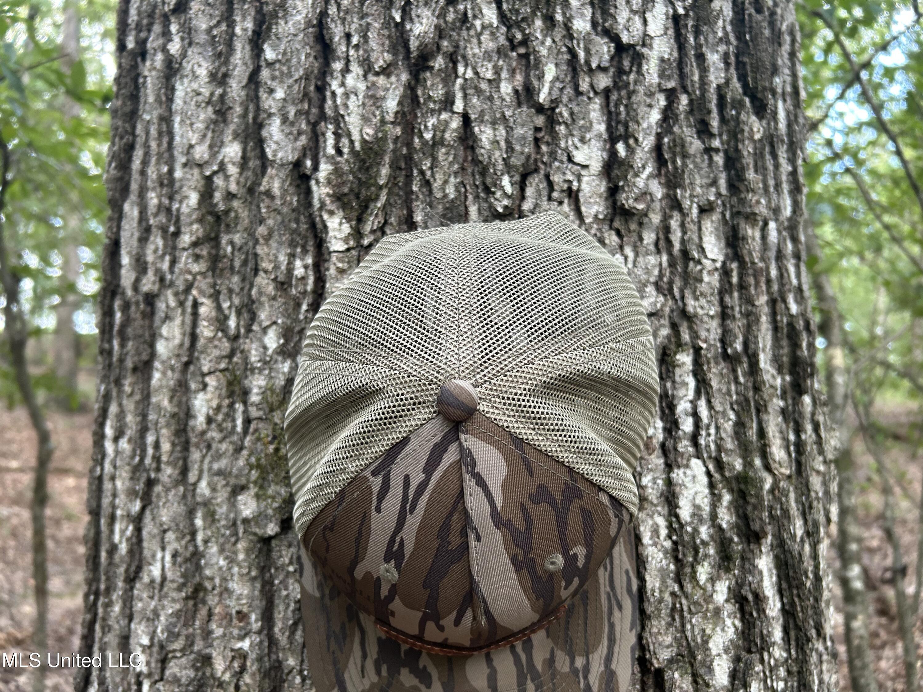 233 County Road Water Valley, MS 38965 - Photo 22 of 77 Photo Jul 28 2025, 4 21 46 PM