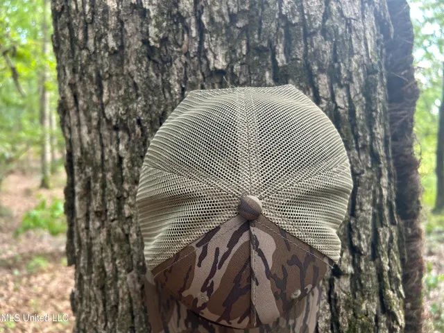 $552,500 | 233 County Road, Water Valley, MS 38965